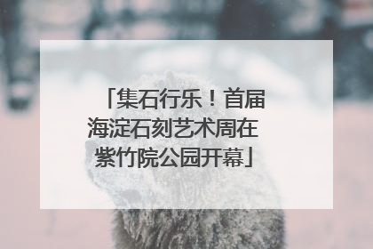 集石行乐！首届海淀石刻艺术周在紫竹院公园开幕