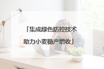 集成绿色防控技术助力小麦稳产增收