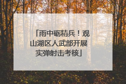 雨中砺精兵！观山湖区人武部开展实弹射击考核