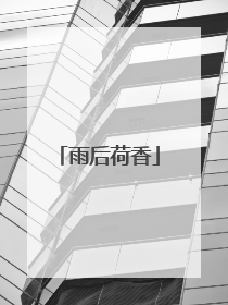 雨后荷香