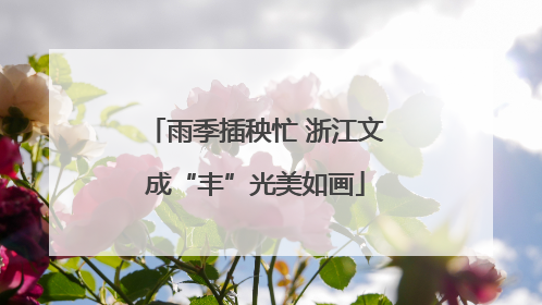 雨季插秧忙 浙江文成“丰”光美如画