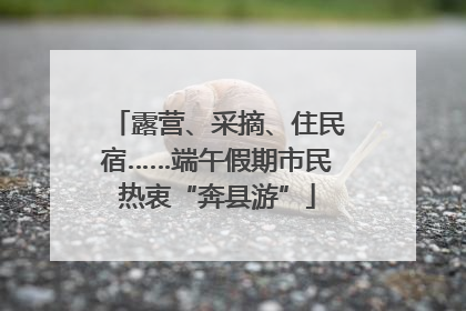 露营、采摘、住民宿……端午假期市民热衷“奔县游”