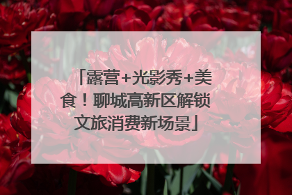 露营+光影秀+美食！聊城高新区解锁文旅消费新场景