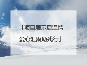 项目展示显温情 爱心汇聚助残行
