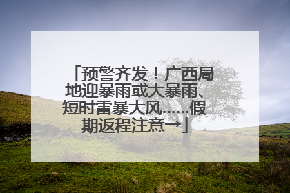 预警齐发！广西局地迎暴雨或大暴雨、短时雷暴大风……假期返程注意→