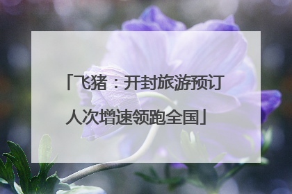 飞猪：开封旅游预订人次增速领跑全国