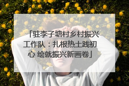 驻李子塘村乡村振兴工作队：扎根热土践初心 绘就振兴新画卷