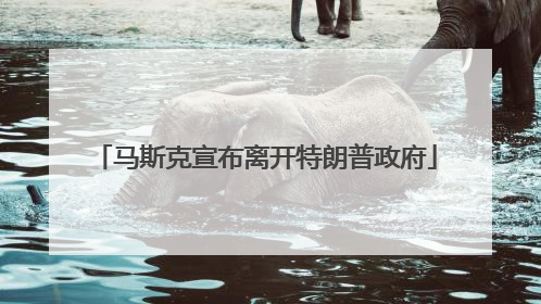 马斯克宣布离开特朗普政府