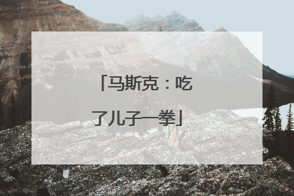 马斯克：吃了儿子一拳
