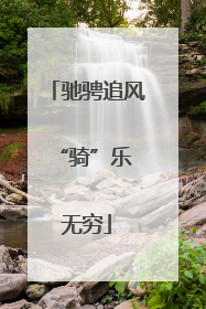 驰骋追风 “骑”乐无穷