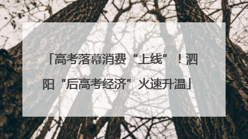 高考落幕消费“上线”！泗阳“后高考经济”火速升温