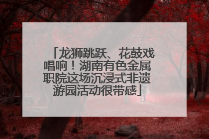 龙狮跳跃、花鼓戏唱响！湖南有色金属职院这场沉浸式非遗游园活动很带感