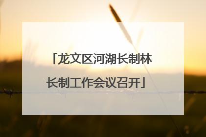 龙文区河湖长制林长制工作会议召开