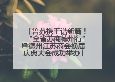 鲁苏携手谱新篇！“全省苏商德州行”暨德州江苏商会换届庆典大会成功举办