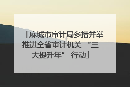 麻城市审计局多措并举推进全省审计机关 “三大提升年” 行动