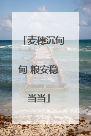 麦穗沉甸甸 粮安稳当当