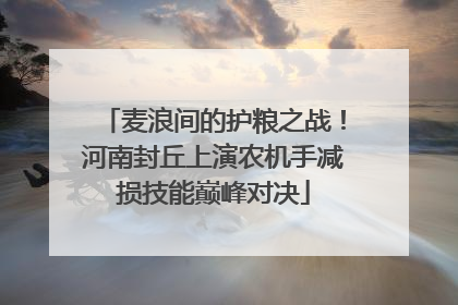 麦浪间的护粮之战！河南封丘上演农机手减损技能巅峰对决