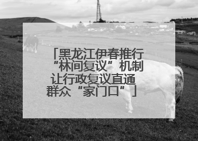 黑龙江伊春推行“林间复议”机制 让行政复议直通群众“家门口”