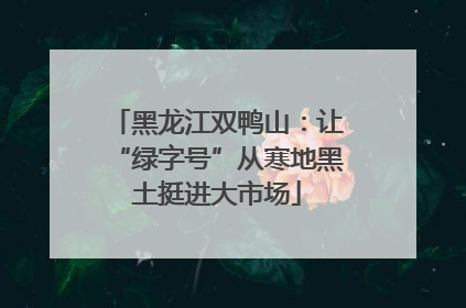 黑龙江双鸭山：让“绿字号”从寒地黑土挺进大市场