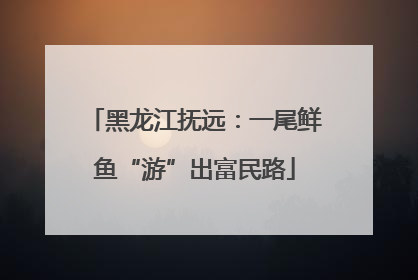 黑龙江抚远：一尾鲜鱼“游”出富民路