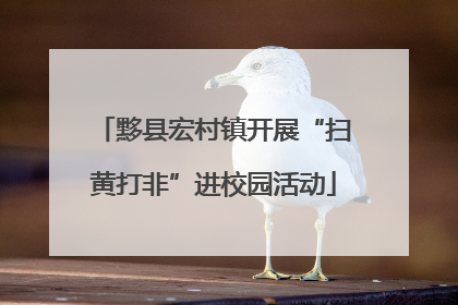 黟县宏村镇开展“扫黄打非”进校园活动
