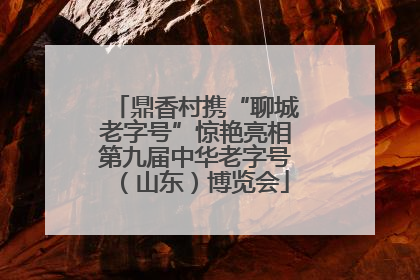 鼎香村携“聊城老字号”惊艳亮相第九届中华老字号（山东）博览会