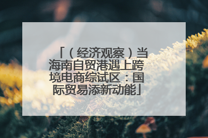 （经济观察）当海南自贸港遇上跨境电商综试区：国际贸易添新动能