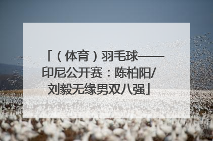 （体育）羽毛球——印尼公开赛：陈柏阳/刘毅无缘男双八强