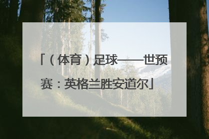 （体育）足球——世预赛：英格兰胜安道尔