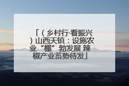 （乡村行·看振兴）山西天镇：设施农业“棚”勃发展 辣椒产业蓄势待发