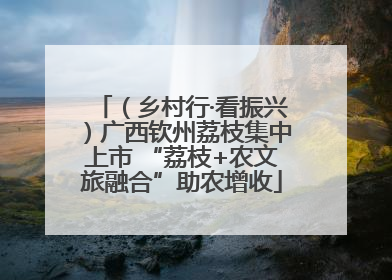 （乡村行·看振兴）广西钦州荔枝集中上市 “荔枝+农文旅融合”助农增收