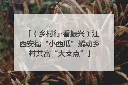 （乡村行·看振兴）江西安福“小西瓜”撬动乡村共富“大支点”