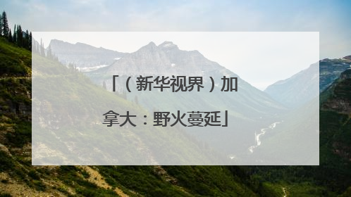 （新华视界）加拿大：野火蔓延
