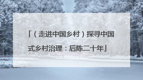 （走进中国乡村）探寻中国式乡村治理：后陈二十年