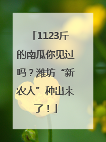 1123斤的南瓜你见过吗？潍坊“新农人”种出来了！
