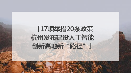 17项举措20条政策 杭州发布建设人工智能创新高地新“路径”