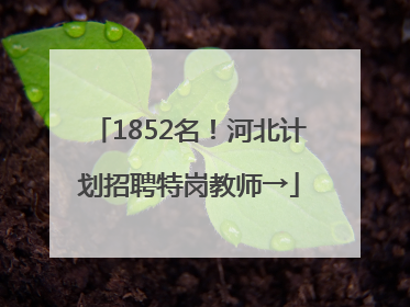 1852名！河北计划招聘特岗教师→
