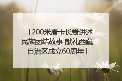 200米唐卡长卷讲述民族团结故事 献礼西藏自治区成立60周年