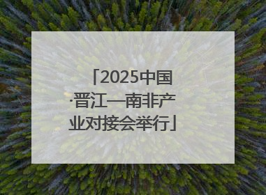 2025中国·晋江—南非产业对接会举行