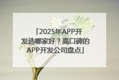 2025年APP开发选哪家好？高口碑的APP开发公司盘点