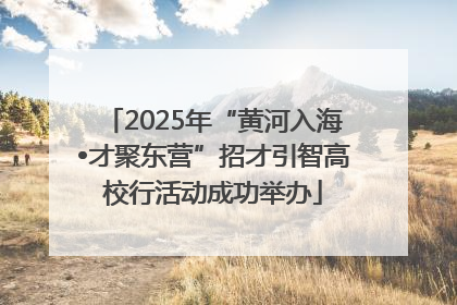 2025年“黄河入海•才聚东营”招才引智高校行活动成功举办