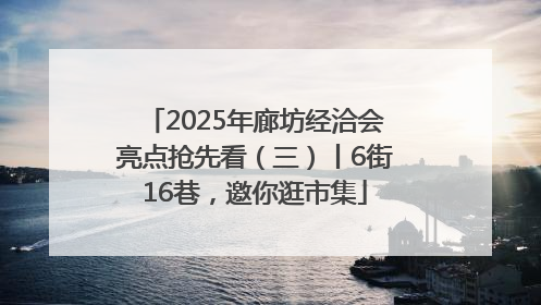 2025年廊坊经洽会亮点抢先看（三）丨6街16巷，邀你逛市集