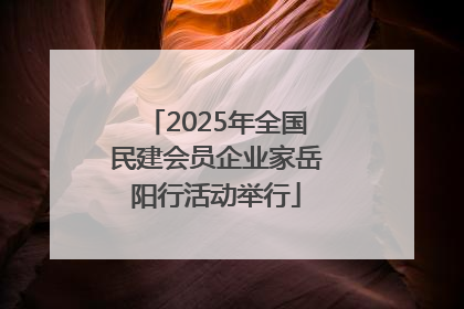 2025年全国民建会员企业家岳阳行活动举行