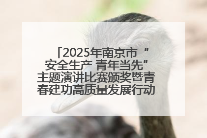 2025年南京市“安全生产 青年当先”主题演讲比赛颁奖暨青春建功高质量发展行动出征仪式举行