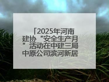 2025年河南建协“安全生产月”活动在中建三局中原公司滨河新居项目启动