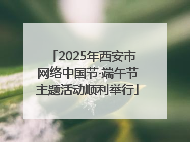 2025年西安市网络中国节·端午节主题活动顺利举行