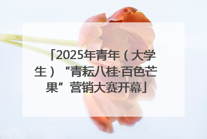2025年青年（大学生）“青耘八桂·百色芒果”营销大赛开幕