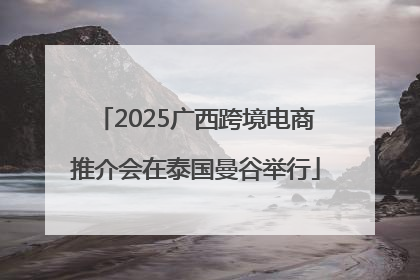 2025广西跨境电商推介会在泰国曼谷举行