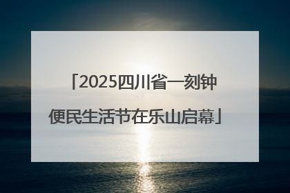 2025四川省一刻钟便民生活节在乐山启幕