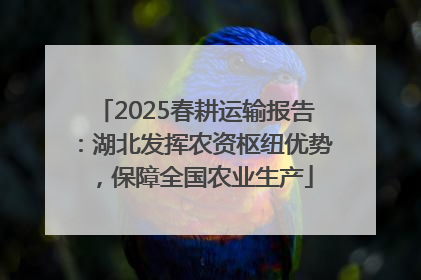 2025春耕运输报告：湖北发挥农资枢纽优势，保障全国农业生产